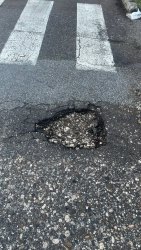 Photo of this report