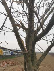 Photo of this report