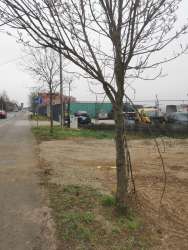 Photo of this report