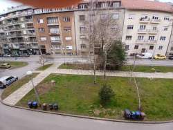 Photo of this report