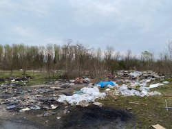 Photo of this report