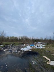 Photo of this report