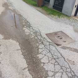 Photo of this report