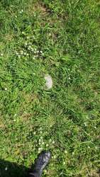 Photo of this report