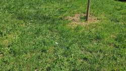 Photo of this report