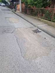 Photo of this report