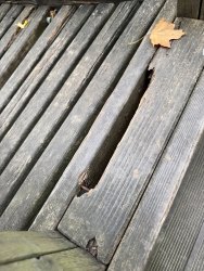 Photo of this report