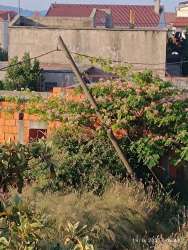 Photo of this report