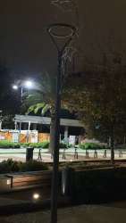 Photo of this report