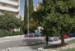 Photo of this report