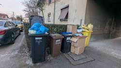 Photo of this report