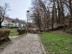 Photo of this report