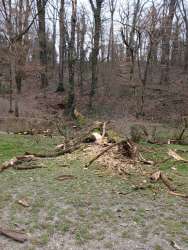 Photo of this report