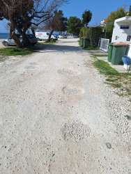 Photo of this report