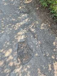 Photo of this report