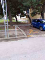 Photo of this report