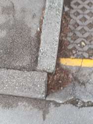 Photo of this report