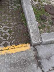 Photo of this report