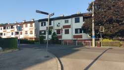 Photo of this report